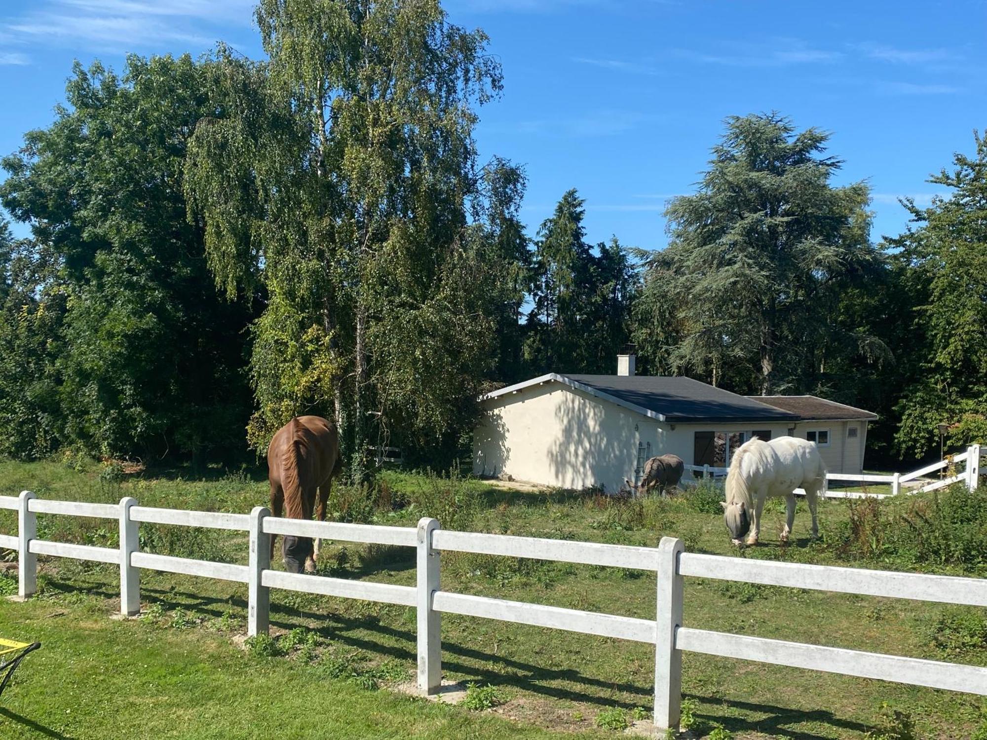 Au Cedre Bleu Villa Carnoy Eksteriør bilde
